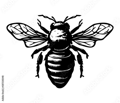Honey Bee icon, honey bee silhouette