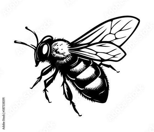 Honey Bee icon, honey bee silhouette