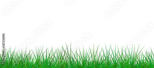 grass against white background 