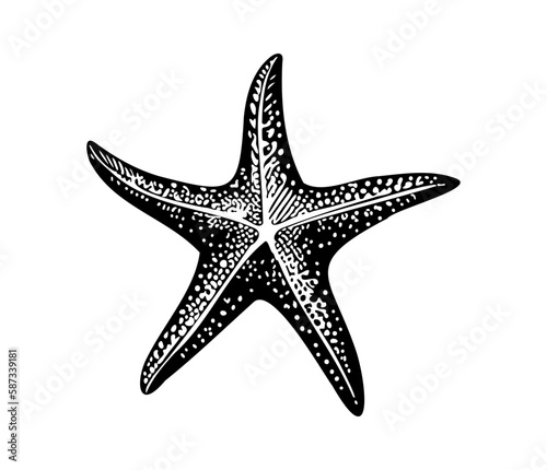 Photo Sea star fish marine, illustration of a starfish