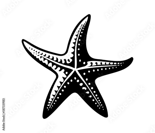 Sea star fish marine, illustration of a starfish photo