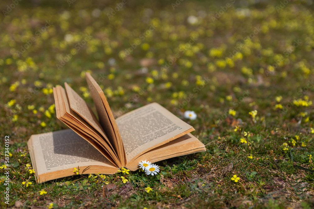 Open book with pages fluttering in the wind over a meadow with flowers Open book with pages fluttering in the wind over a meadow with flowers