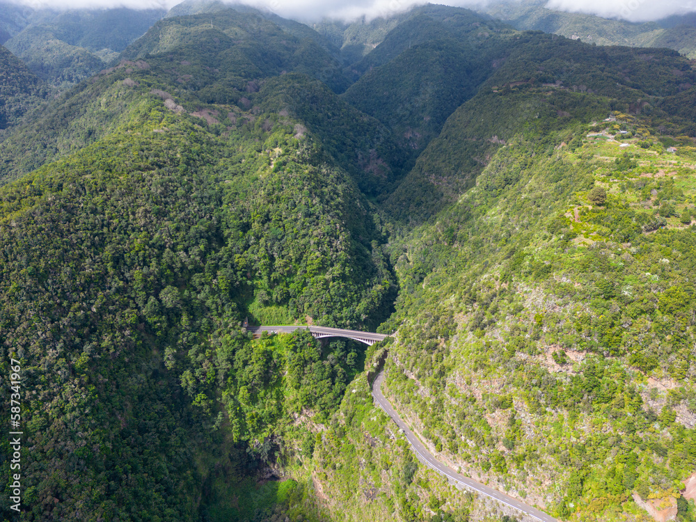 Volcanic green gorge and bridge, one of the main bridges in the northeast of La Palma, Canary Islands, Spain.