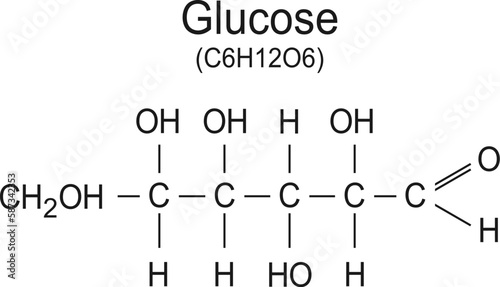 Glucose molecule  vector chemical formula