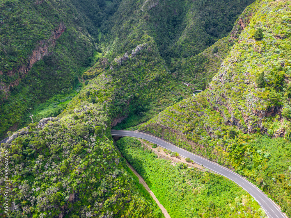 A volcanic gorge covered with dense green vegetation. La Galga, La Palma, Canary Islands, Spain. A volcanic gorge covered with dense green vegetation. La Galga, La Palma, Canary Islands, Spain.