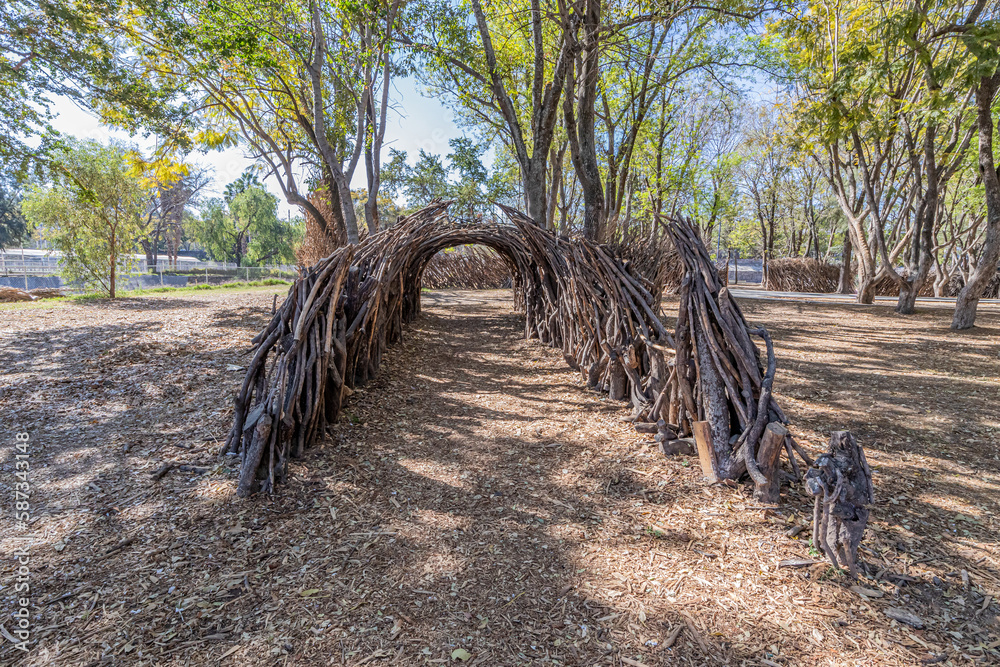 Rustic tunnel formed by branches and wooden logs, trees with green foliage and blue sky in background, deep perspective, sunny day in Avila Camacho public park in Guadalajara, Jalisco Mexico
