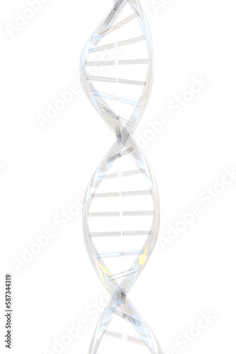 Digitally generated image of translucent DNA