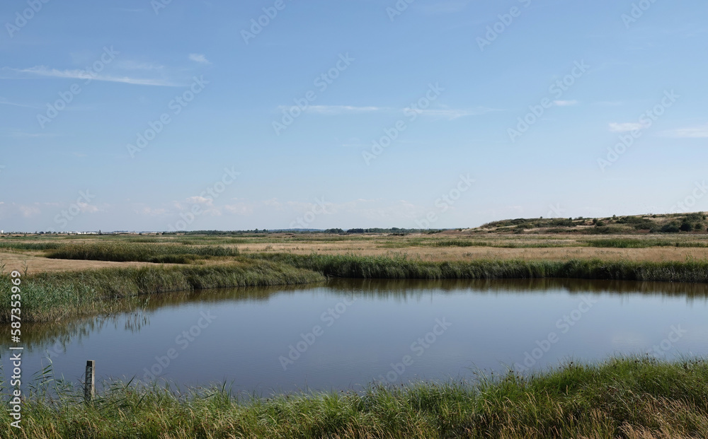 A tranquil scene at Bowers Marsh nature reserve in Essex, UK, under a blue sky in summer. 