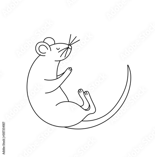 Vector isolated one single sleeping lying dead rat or mouse colorless black and white contour line easy drawing