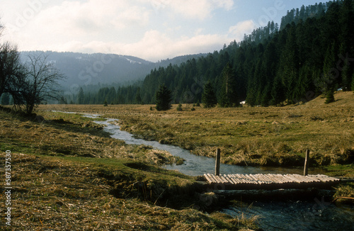 Tourbiere, site Natura 2000, Parc naturel régional des Ballons des Vosges, Belbriette, Vosges, 88, France