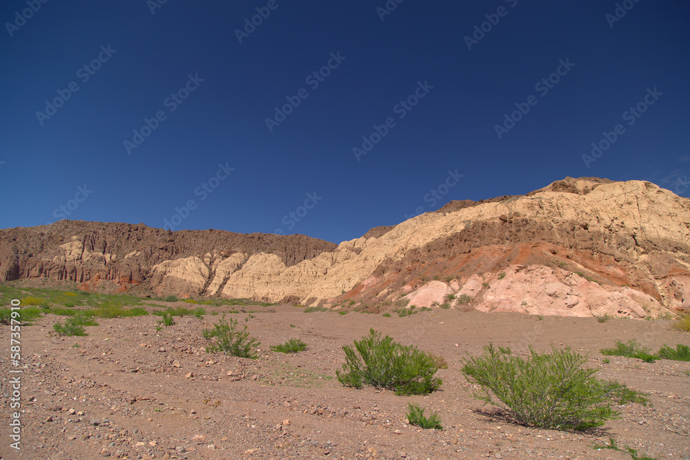 The rock formations of the Quebrada De Las Conchas, Argentina