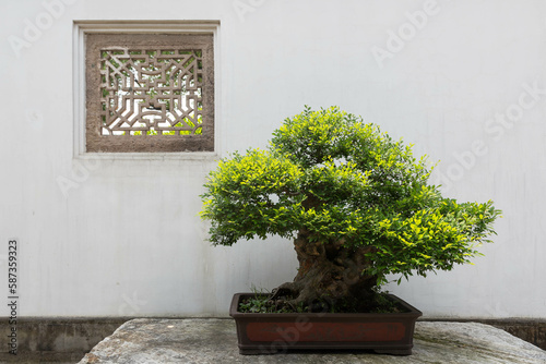 Fototapeta Naklejka Na Ścianę i Meble -  Chinesischer Garten