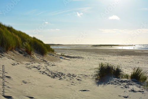 Fototapeta Naklejka Na Ścianę i Meble -  Sand dunes with beach grass at the North Sea with sun in the evening