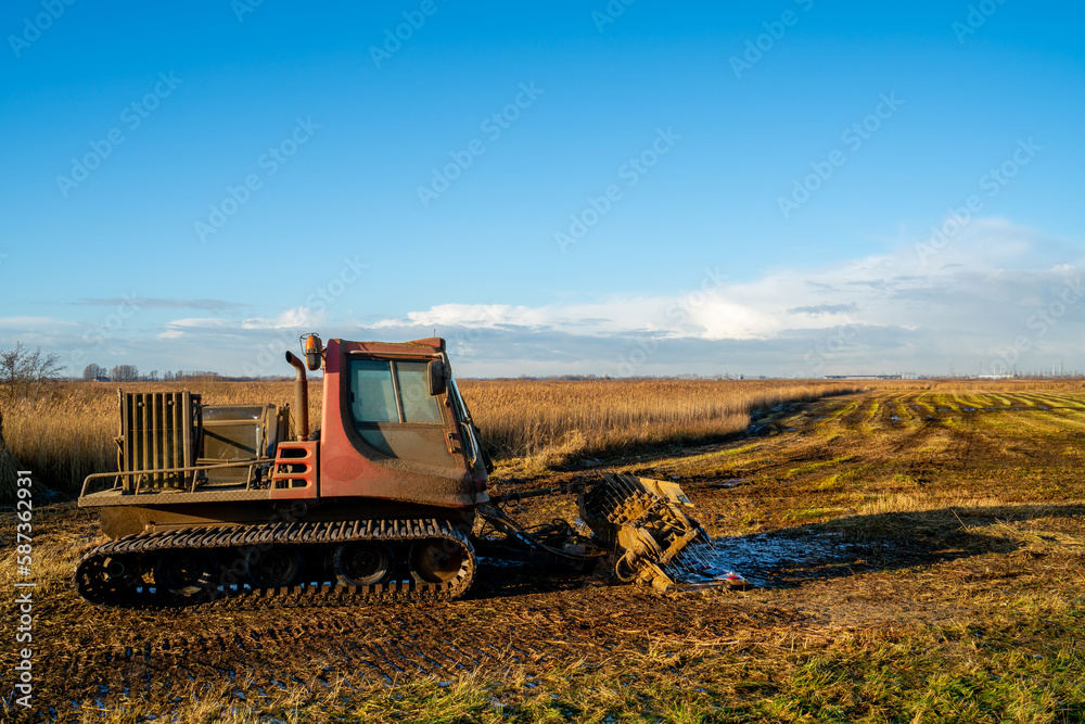 Caterpillar machine to mow and collect reed in a swamp
Caterpillar machine to mow and collect reed in a swamp