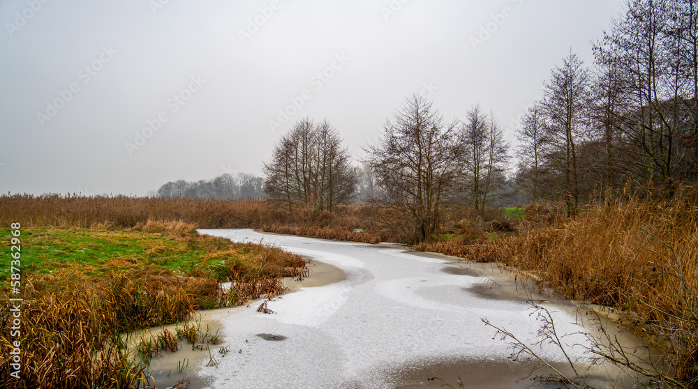 Winter landscape in a nature reserve in the Netherlands
Winter landscape in a nature reserve in the Netherlands