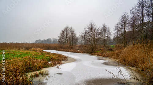 Winter landscape in a nature reserve in the Netherlands 