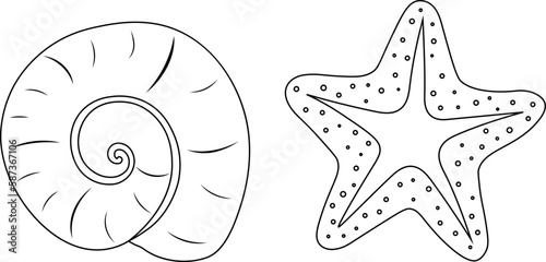 Fototapeta Naklejka Na Ścianę i Meble -  Starfish Sea shell snail clam coloring vector illustration