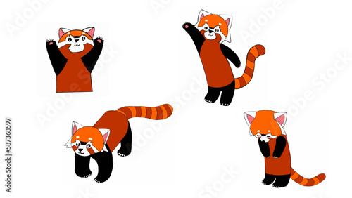 レッサーパンダ四種類
four types red panda

