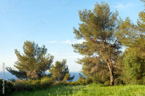 Colle Noire mountain in the French Riviera 