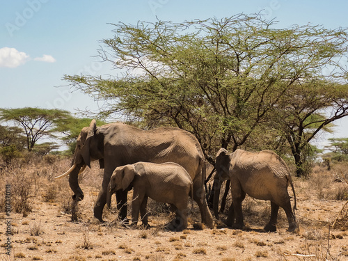Photography Africa