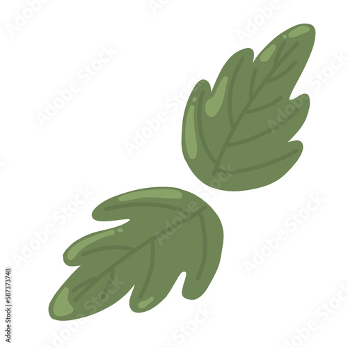 leaves cartoon illustration