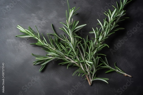  a sprig of rosemary on a black background with a chalkboard texture behind it and a chalkboard background behind it with a chalkboard effect.  generative ai