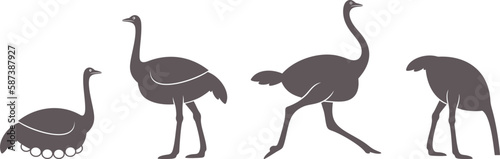 Ostrich logo. Isolated ostrich on white background