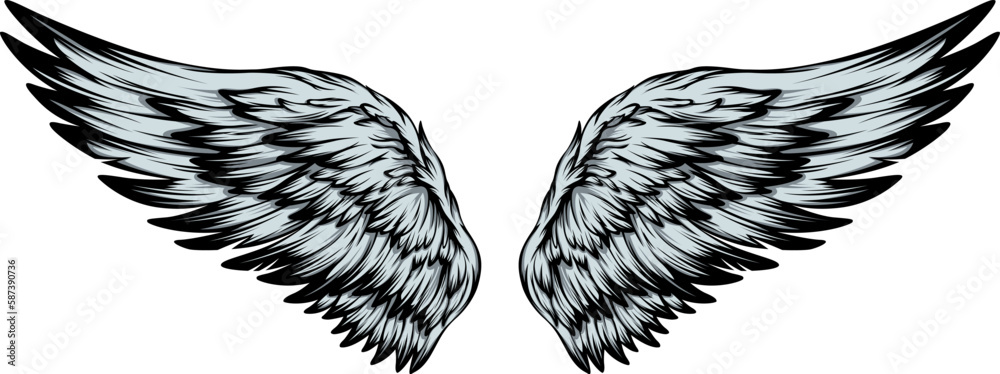 Bird wings illustration tattoo style. Hand drawn design element. Bird wings illustration tattoo style. Hand drawn design element.