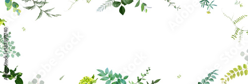 Herbal minimalist vector banner. Hand painted plants, branches, leaves on a white background