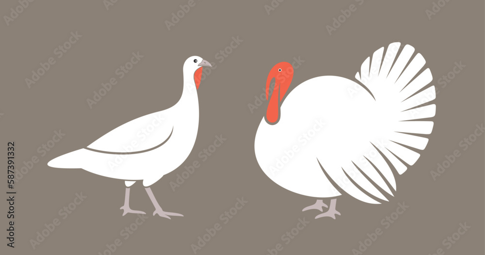 Naklejka premium Turkey logo. Isolated turkey on white background. Bird