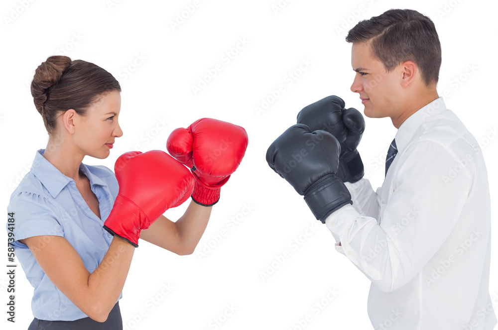 Colleagues in competition having a boxing match Colleagues in competition having a boxing match