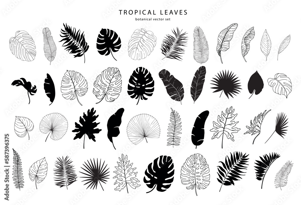 Set of tropical leaves silhouettes and line art elements. Vector illustration. - obrazy, fototapety, plakaty 