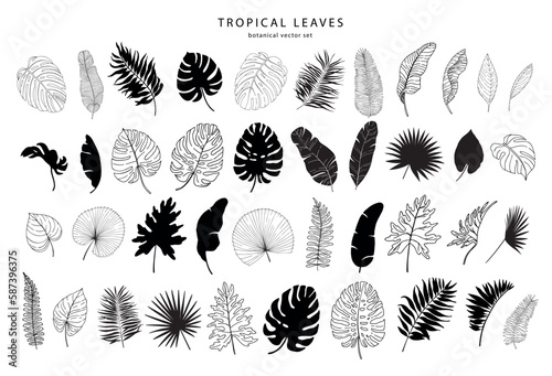 Set of tropical leaves silhouettes and line art elements. Vector illustration.