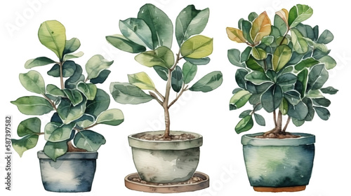 Watercolor illustration of potted ficus plan. Generative Ai
