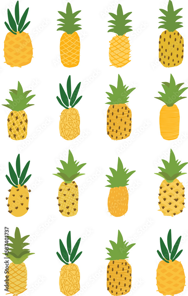Illustration of pineapple fruit Illustration of pineapple fruit