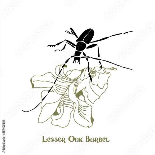 Drawing of a lesser oak barbel on an oak leaf. Vector forest beetle logo