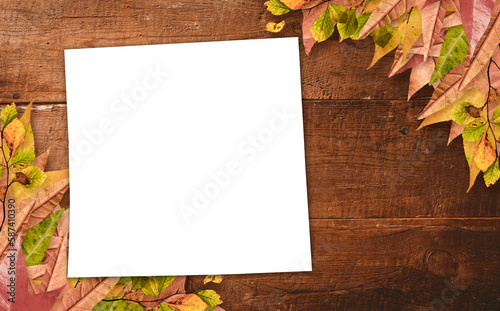 Directly above shot of paper with autumn leaves