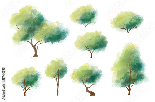 Watercolor tree vector in side view isolated on white background for landscape plan and architecture layout drawing, elements for environment and garden,blossom grass,flower blooming, tropical