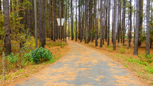 Natural pathways