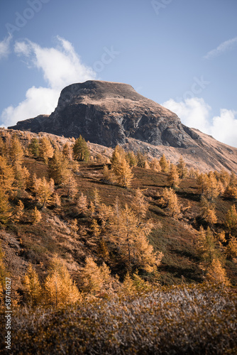Orange autumn tones in the hills and highlands of the Alpe Devero, Northern Italy