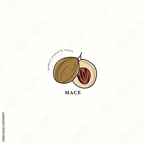 Line art mace spice drawing