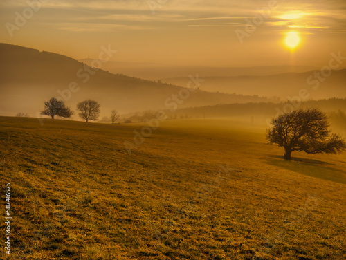 Scenic hilly landscape with solitary trees during sunset