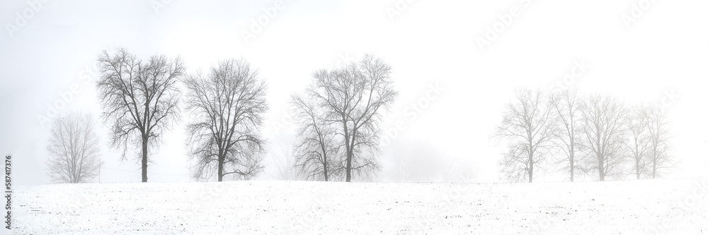 Tree line panorama on a foggy winter day