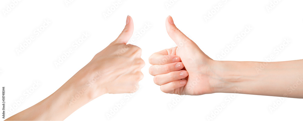 Woman hands showing thumb up gesture isolated png with transparency