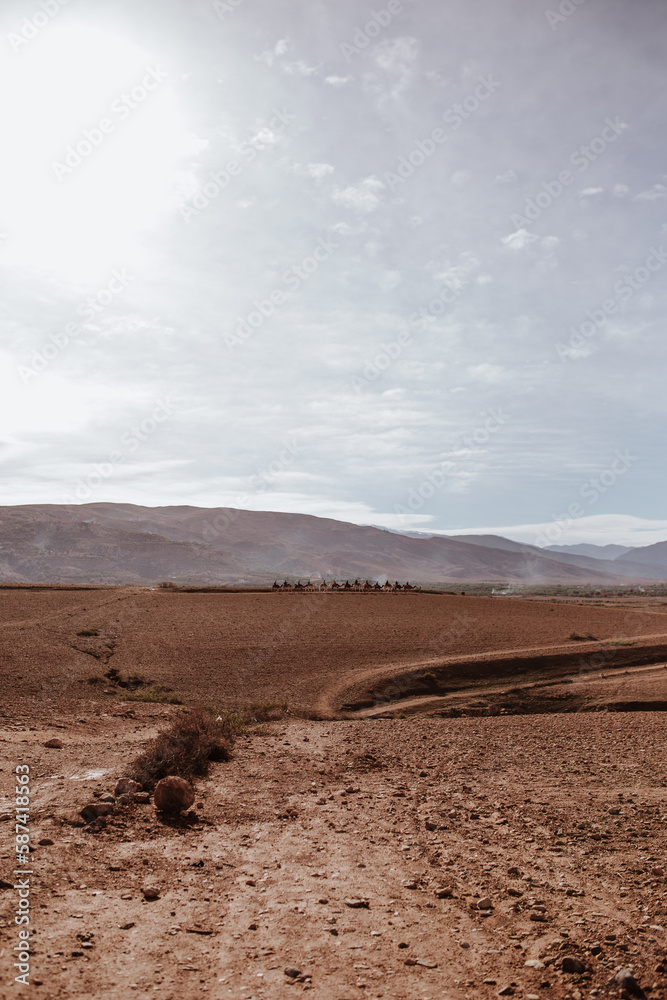 moroccan desert moroccan desert