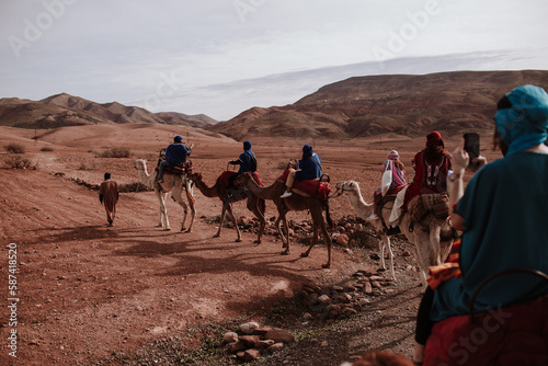 moroccan camels © Joanna