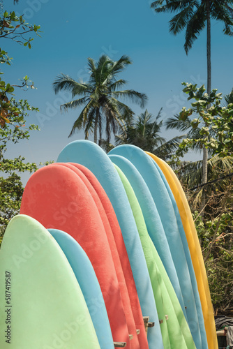 Surfboard and palm tree on beach background. Set of different color surf boards on sandy seacoast in Sri Lanka. Vertical format. Hiriketiya Beach Dickwella. photo