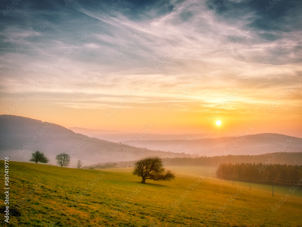 Scenic hilly landscape with solitary trees during sunset