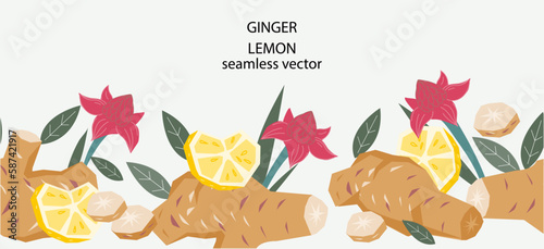 Seamless decorative border with ginger roots and flowers and lemon. Ginger or turmeric and lemon seamless border design, flat vector illustration isolated on background.