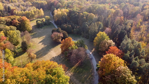 Flying over trees with yellow and green leaves in a park with dirt paths and people walking on a sunny autumn day. Aerial drone view. Top view. Forest wood woodland nature natural sunlight sunshine.
